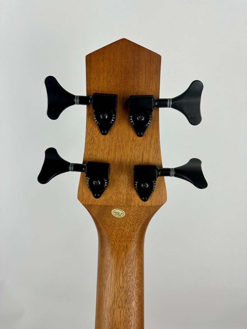 Gold Tone Fretless 25 Micro Bass