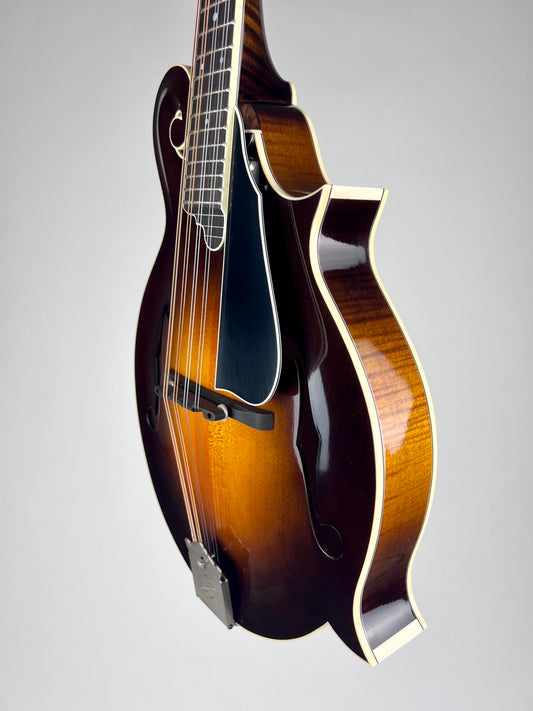 Northfield Big Mon Sunburst/Engelmann