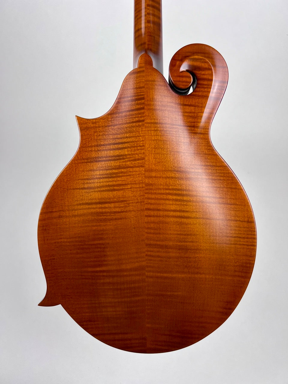 Northfield F2S Oval Amber Mandolin