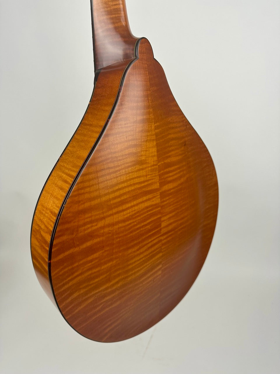 2024 Northfield Quickstep Mandola