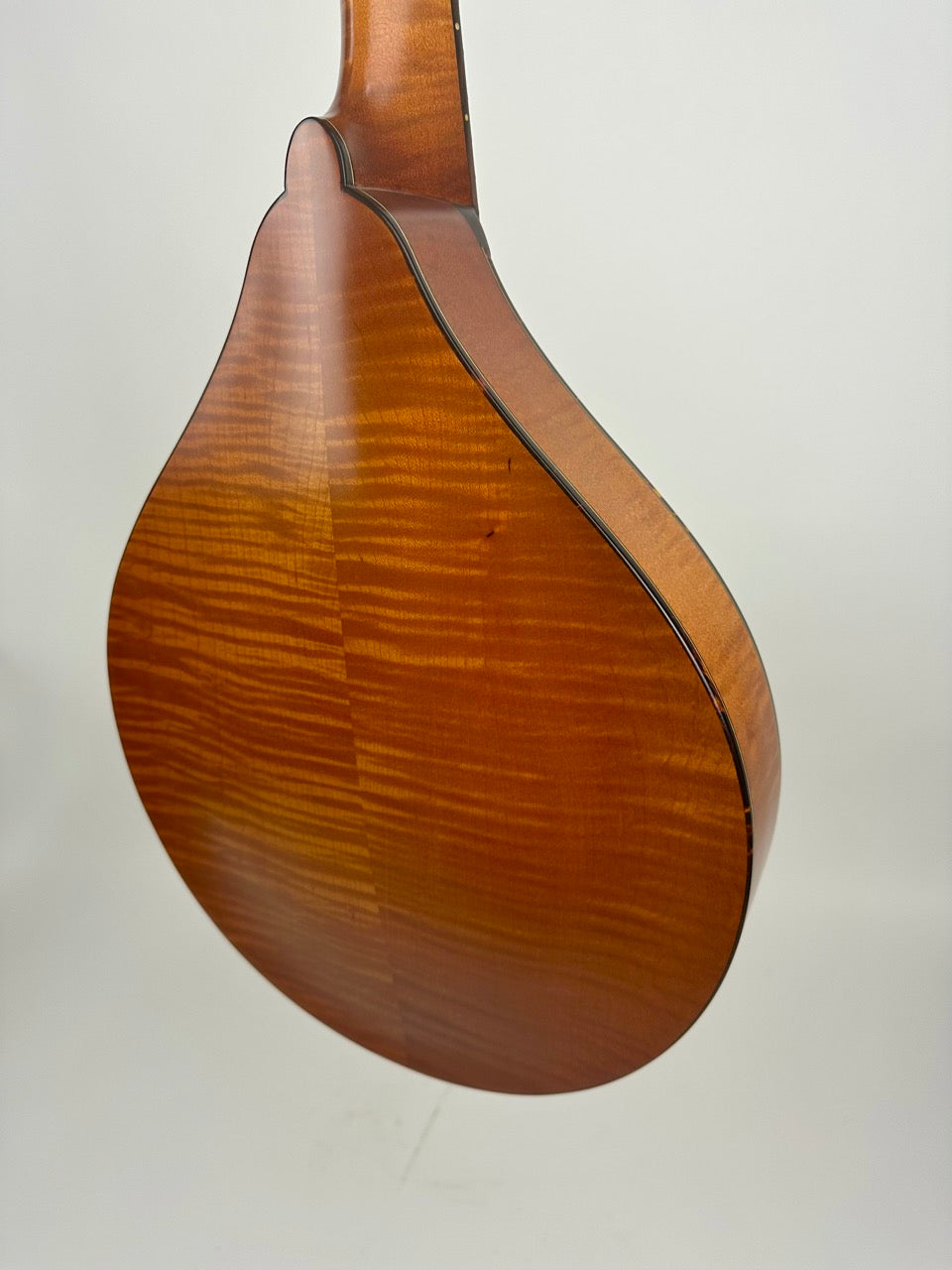 2024 Northfield Quickstep Mandola