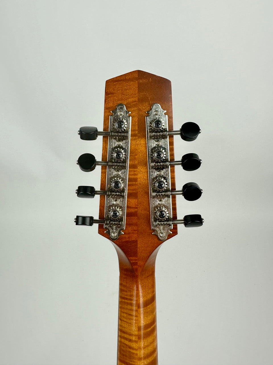 2024 Northfield Quickstep Mandola