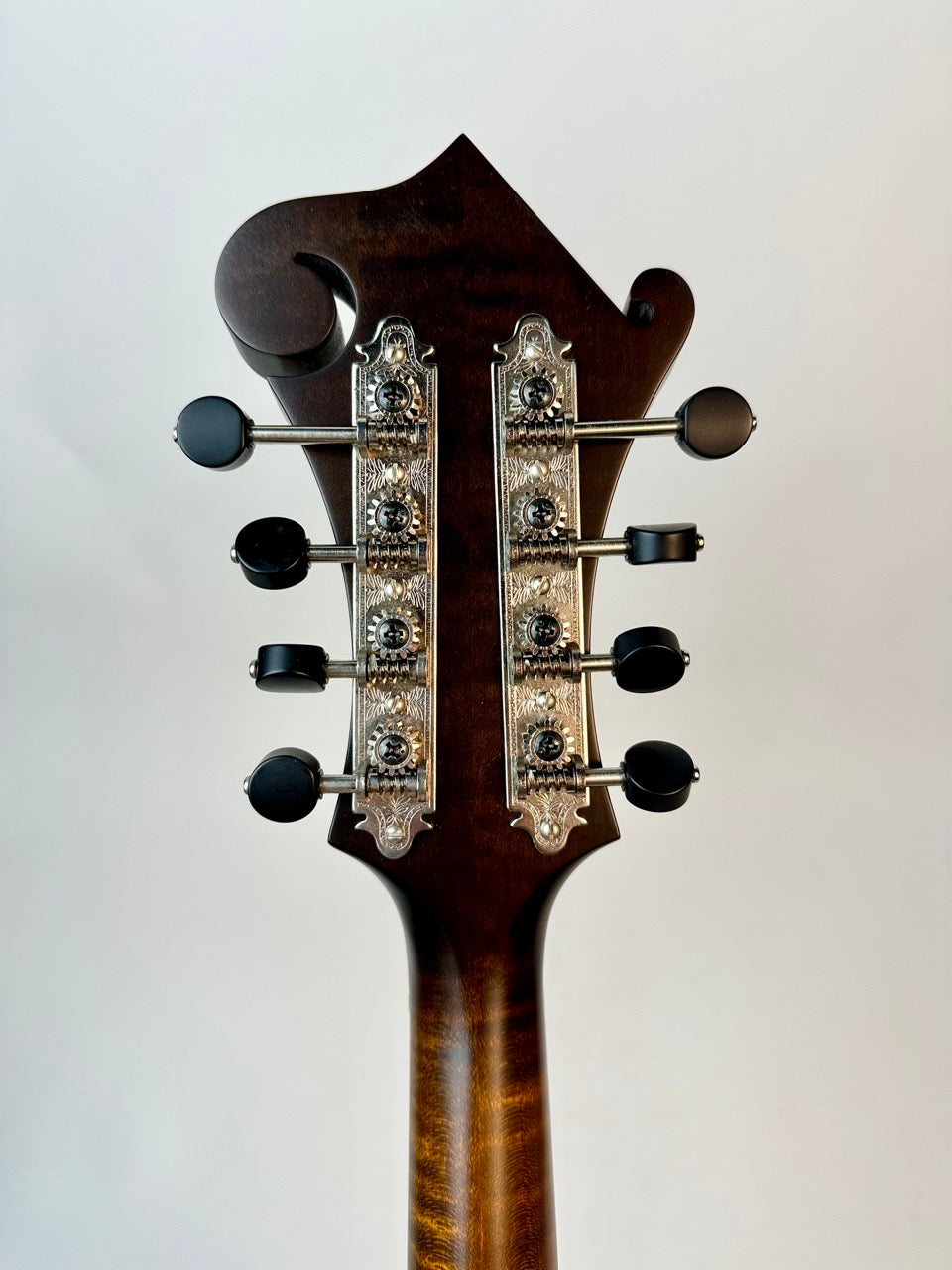 Northfield F5S - Adirondack/Wide Nut