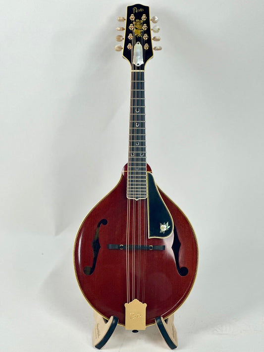 2020 Pava A5 Pro Custom "Cowgirl"