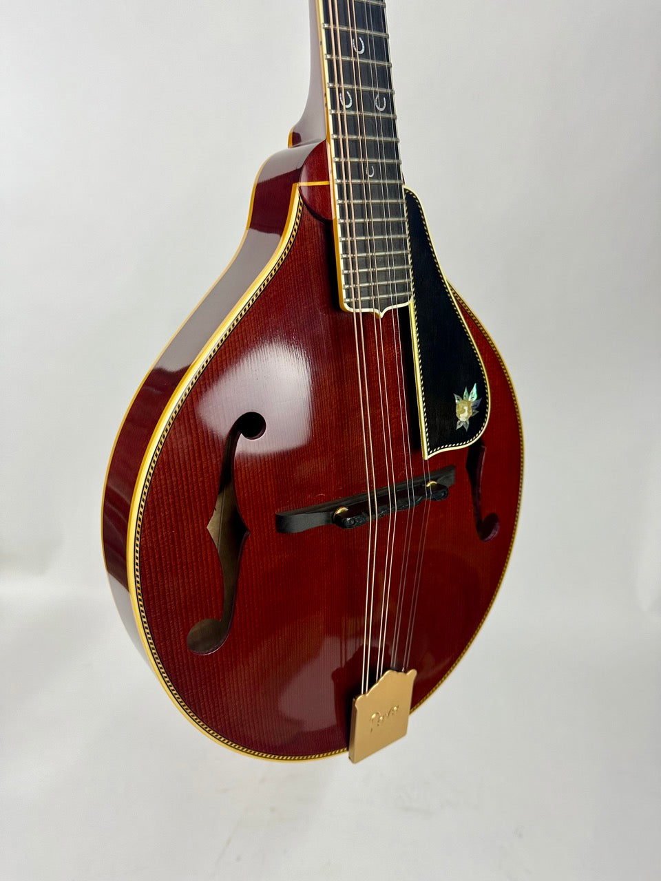 2020 Pava A5 Pro Custom "Cowgirl"