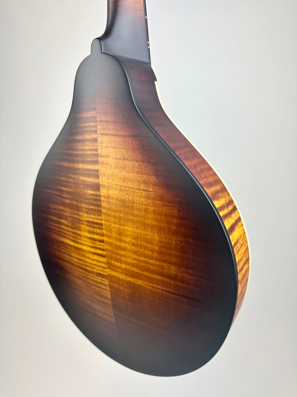 Pava A5 Satin