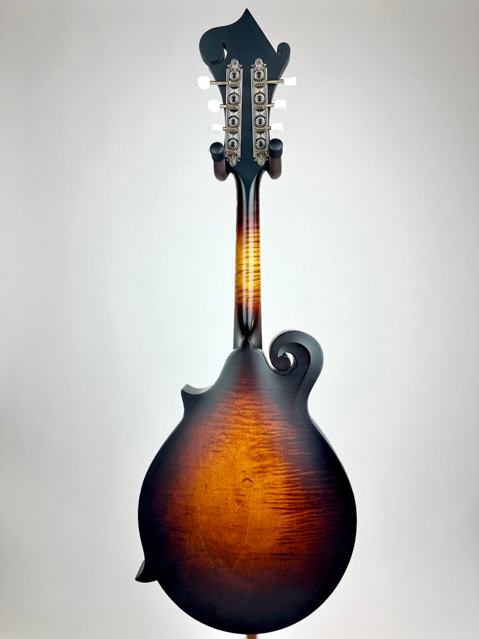 2024 Pava Satin F5