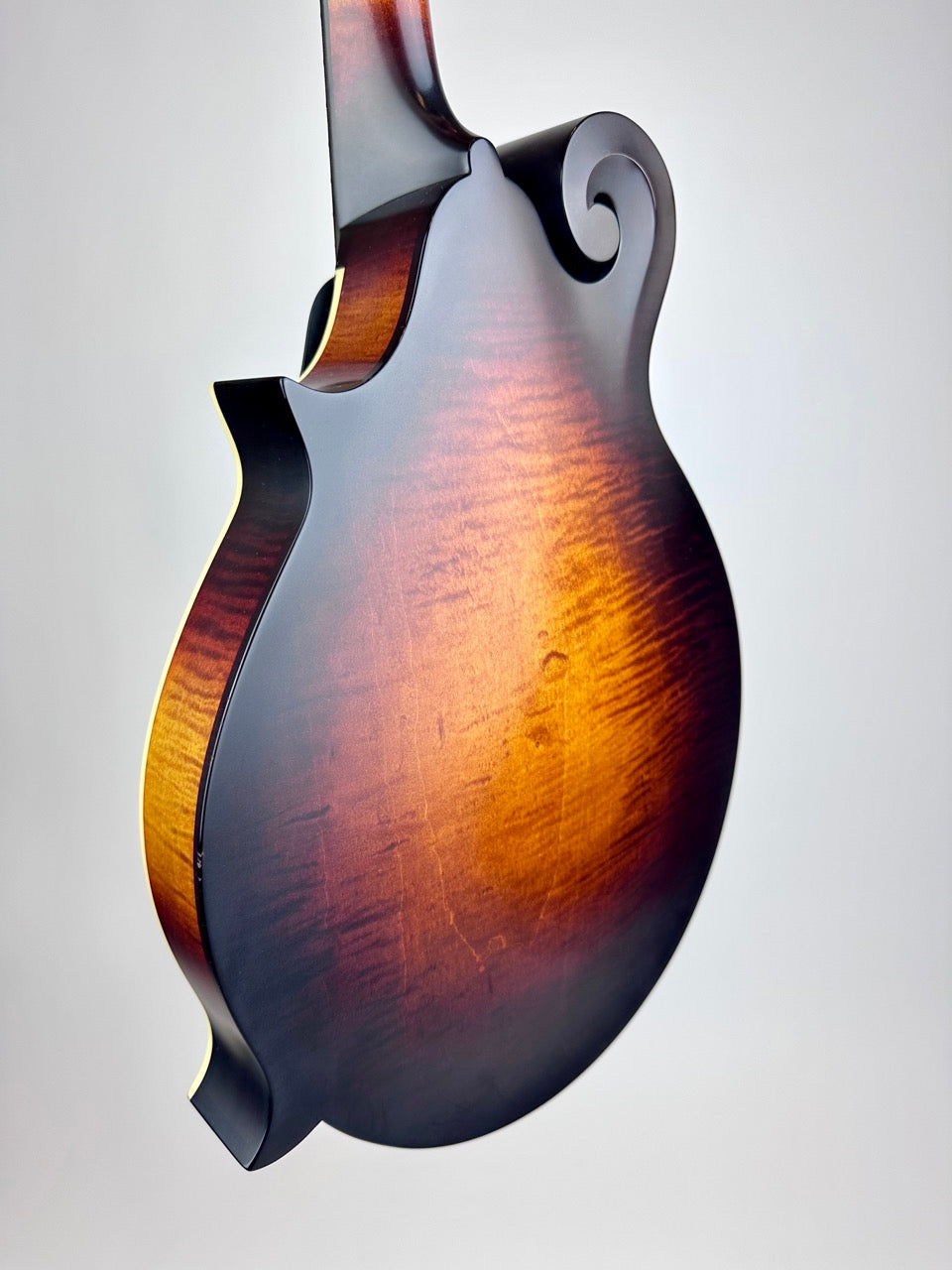 2024 Pava Satin F5
