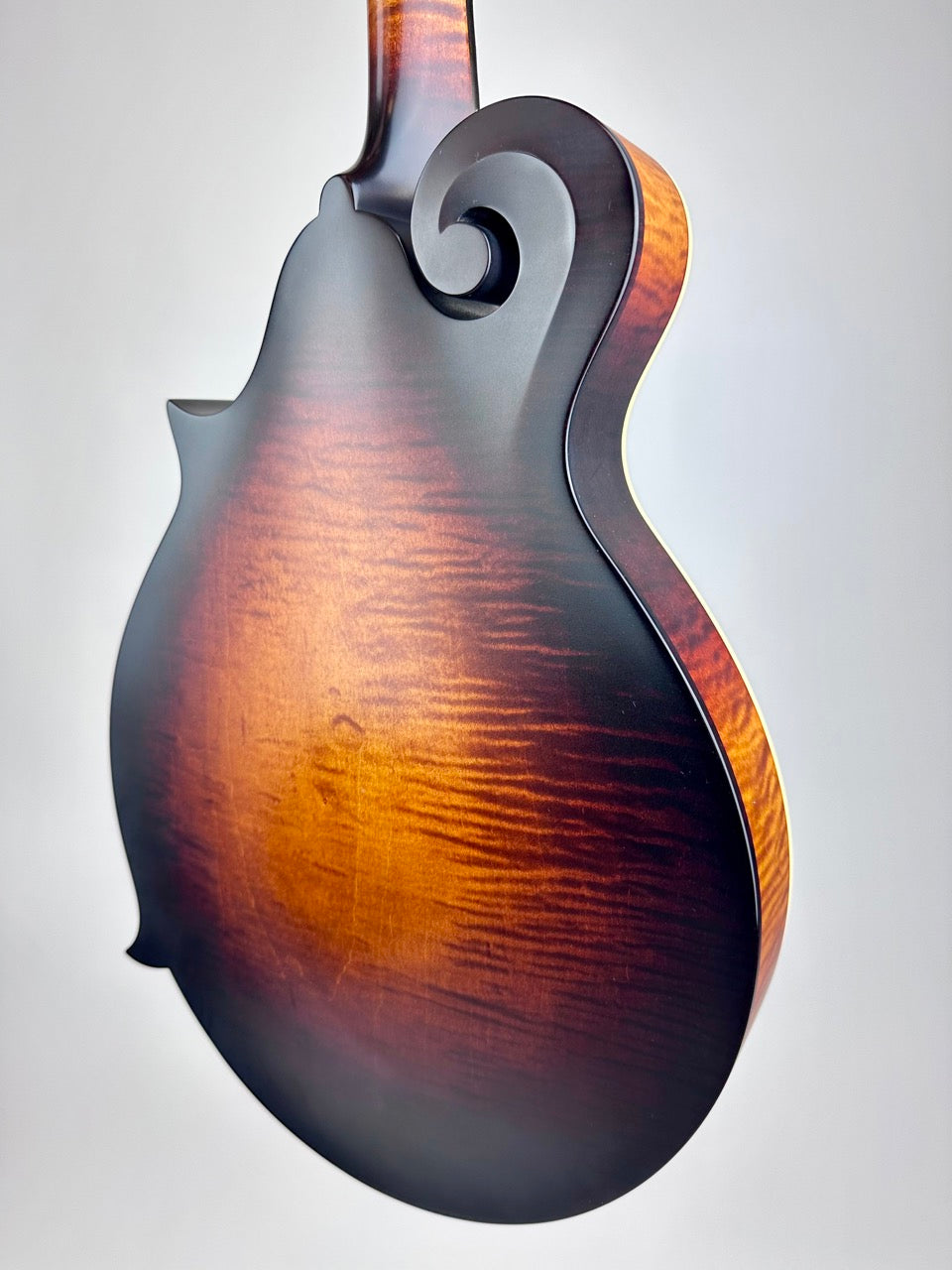 2024 Pava Satin F5