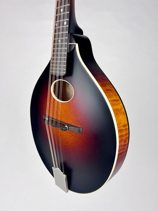 Pava Satin A4 Mandolin