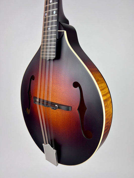 Pava Satin F5 Mandolin