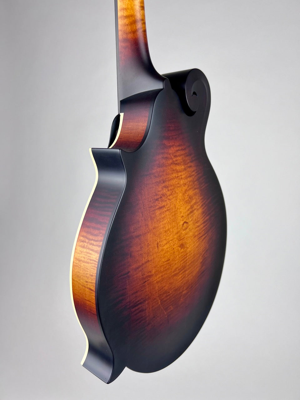 Pava Satin F5 Mandolin