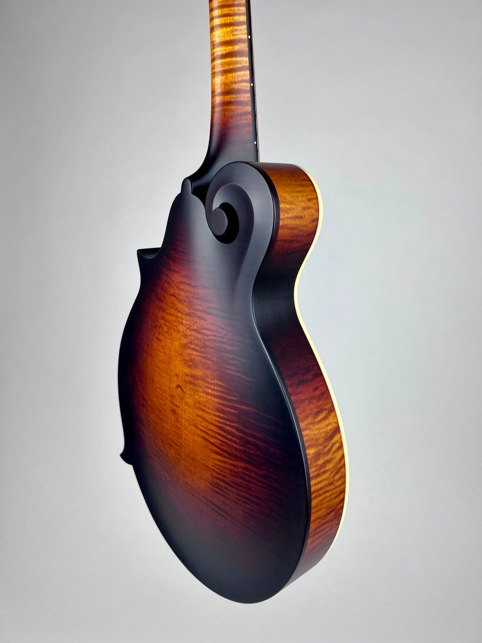 Pava Satin F5 Mandolin