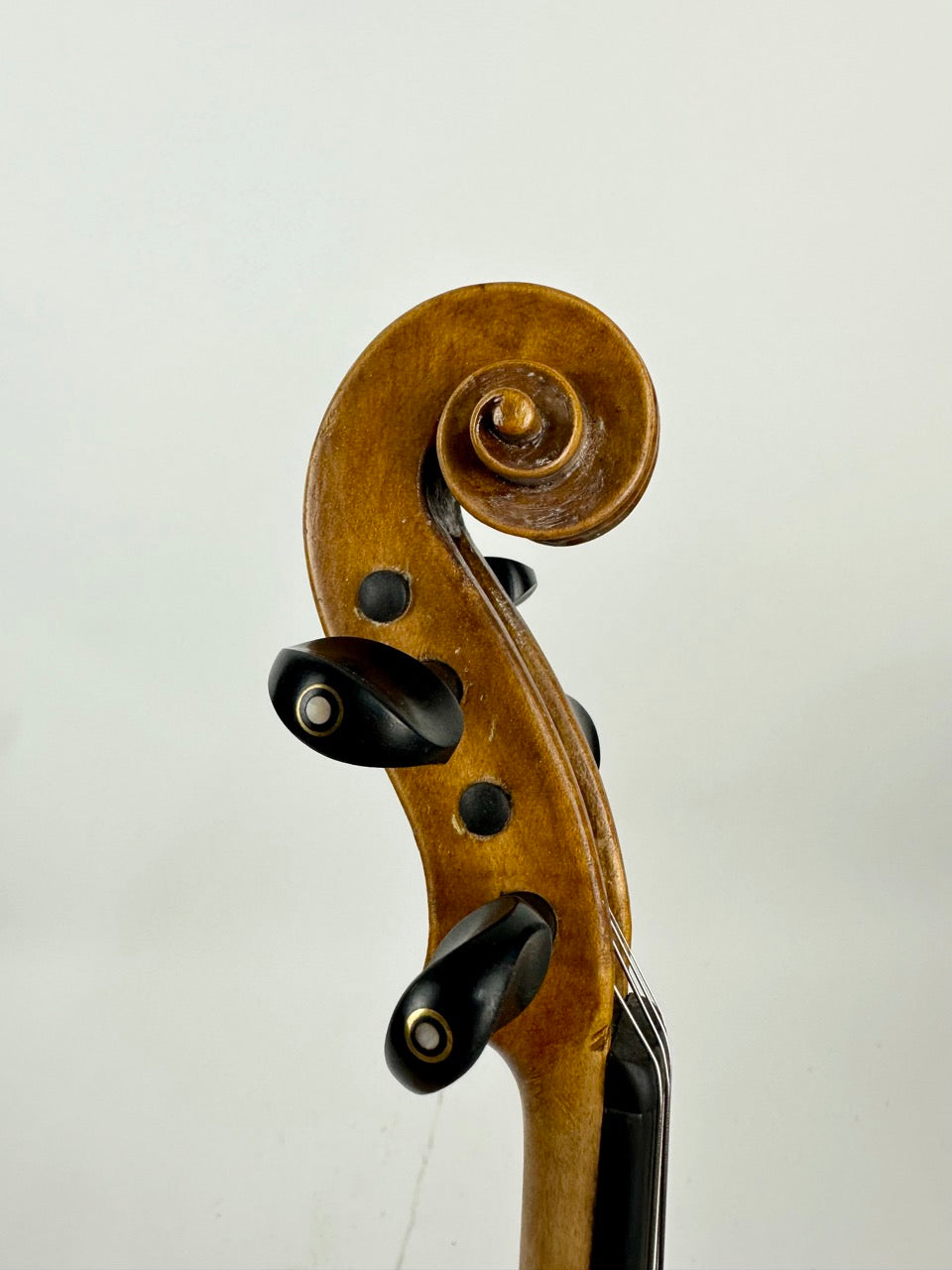 Romanian Floral Back Violin