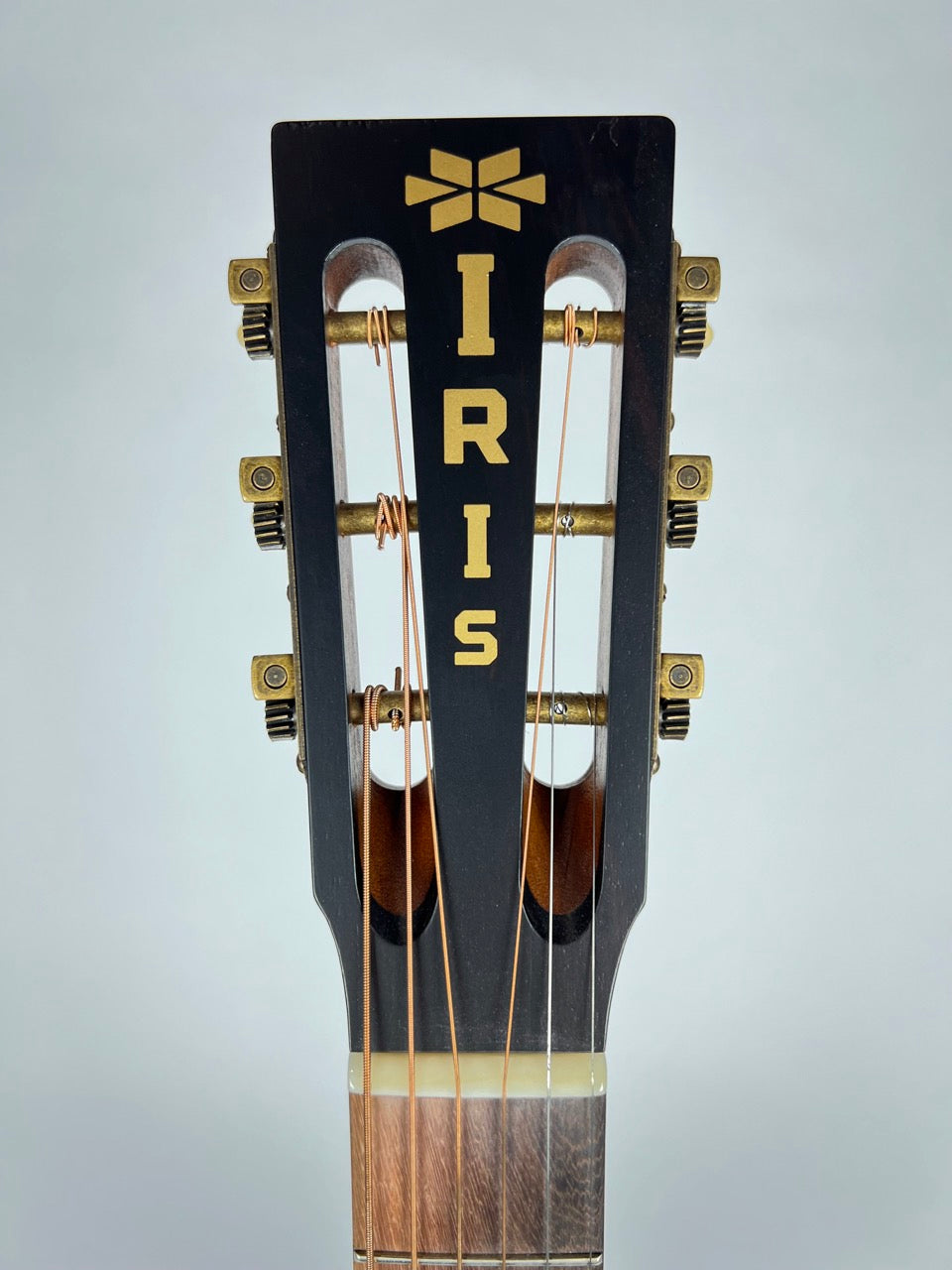 Iris DF Smeck Slot Head 12 Fret