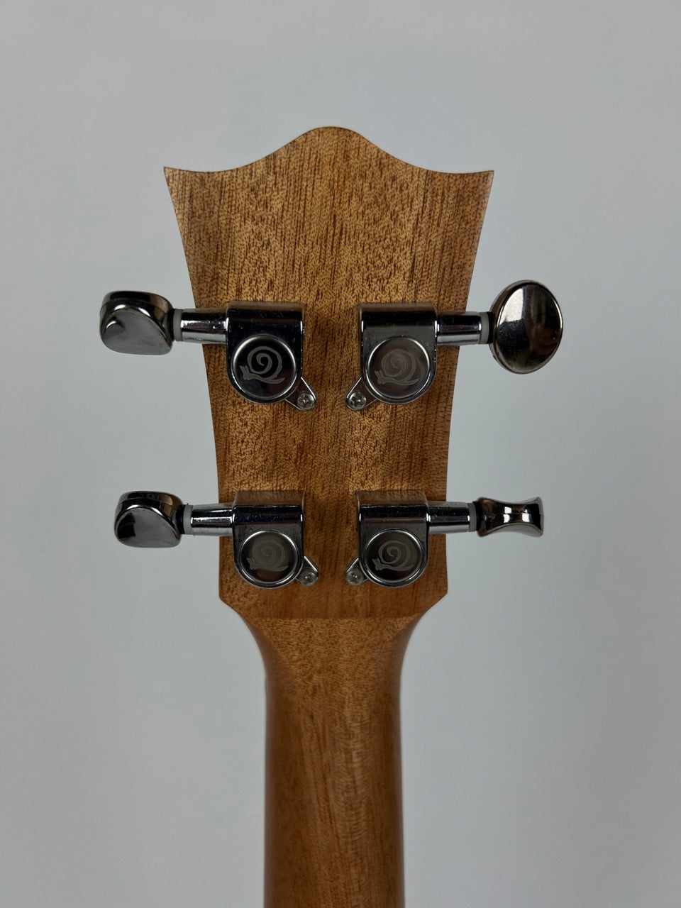 Snail Bocote Tenor Ukulele