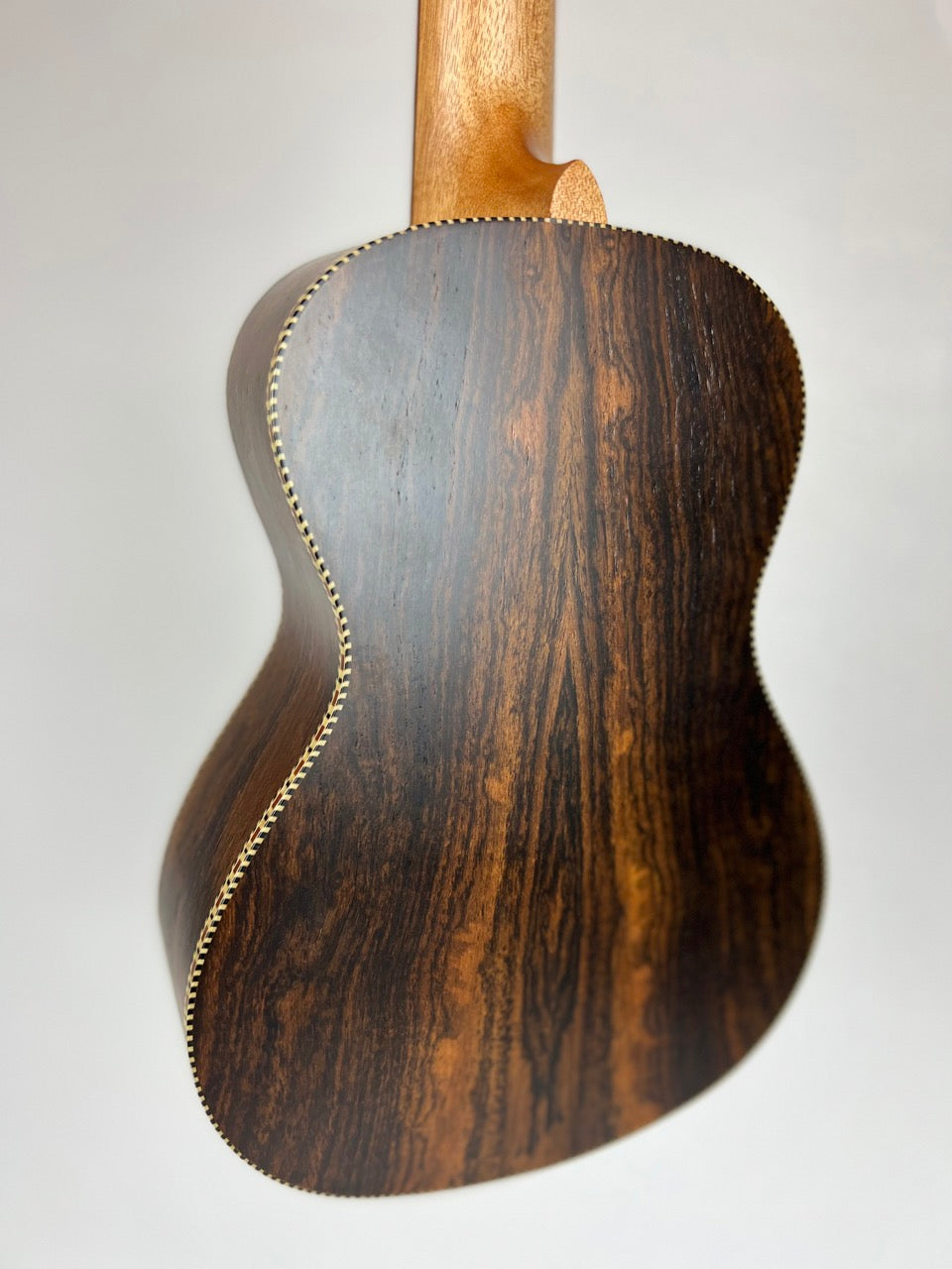 Snail Bocote Concert Ukulele