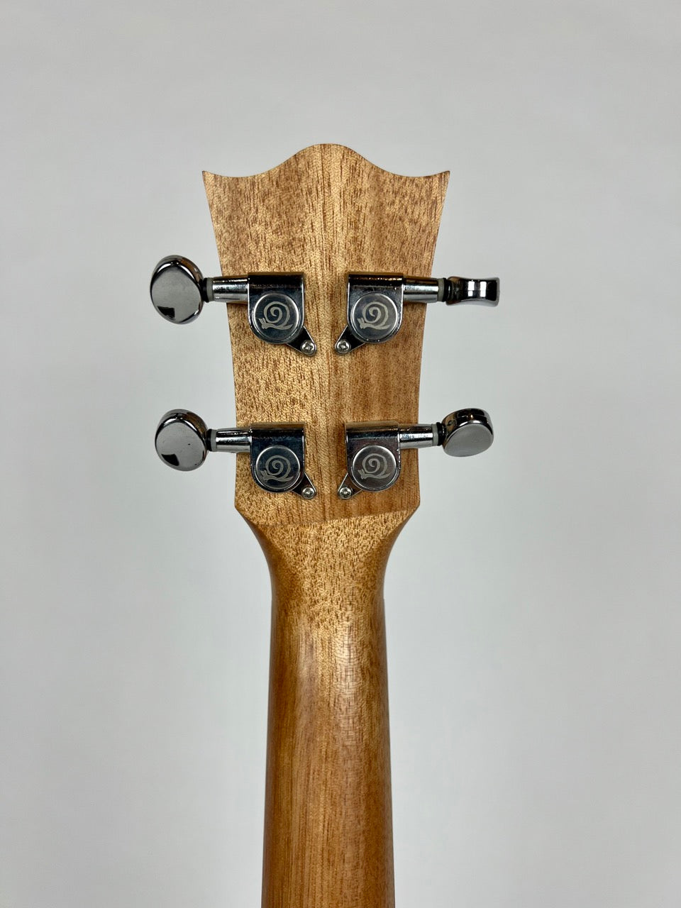 Snail Bocote Concert Ukulele