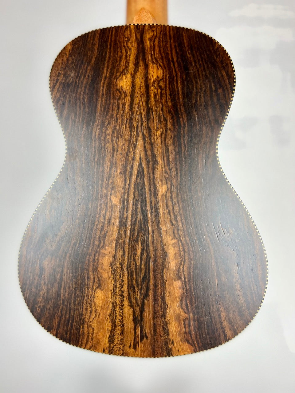 Snail Bocote Concert Ukulele