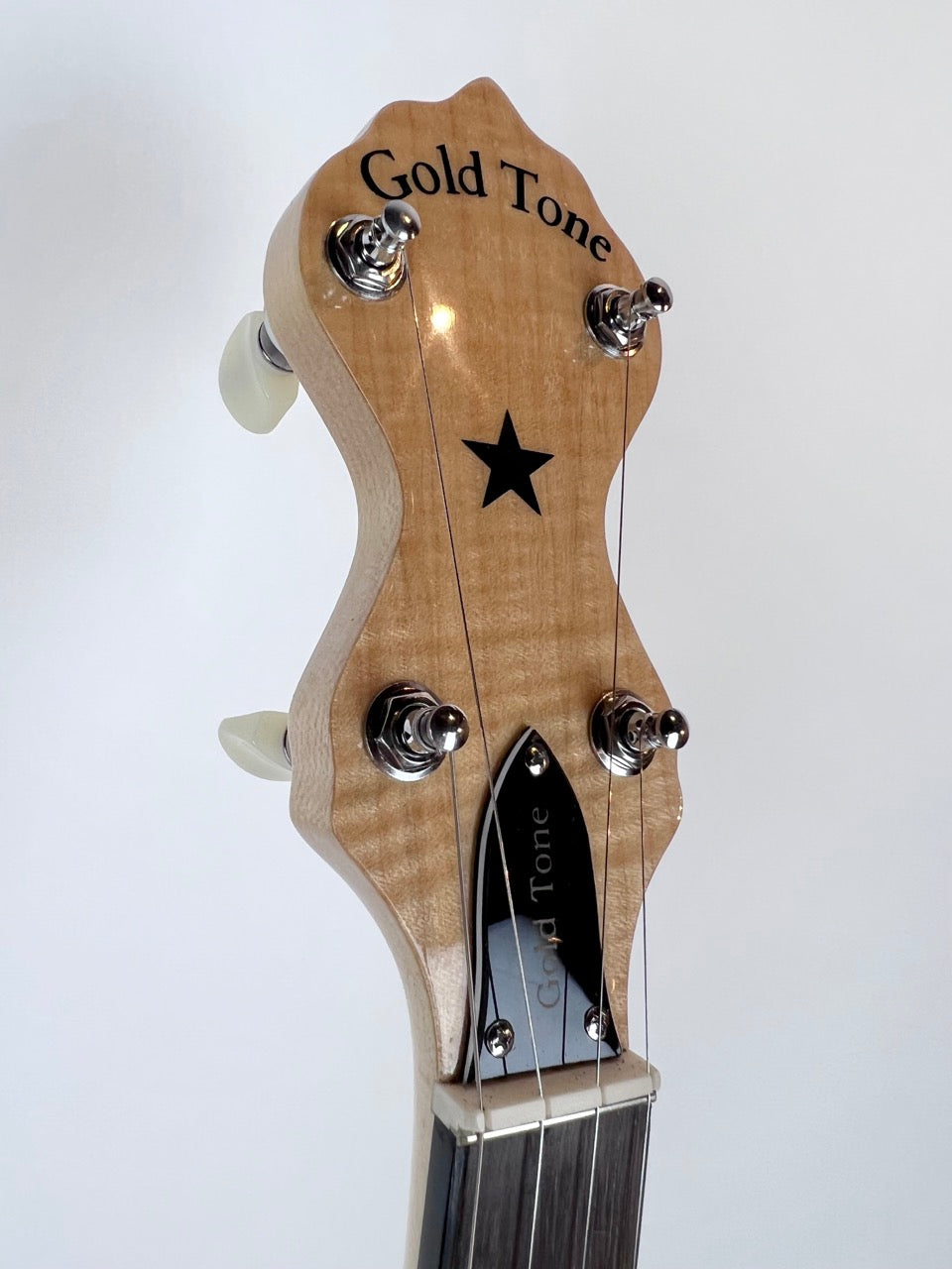 Gold Tone MM-150 Banjo