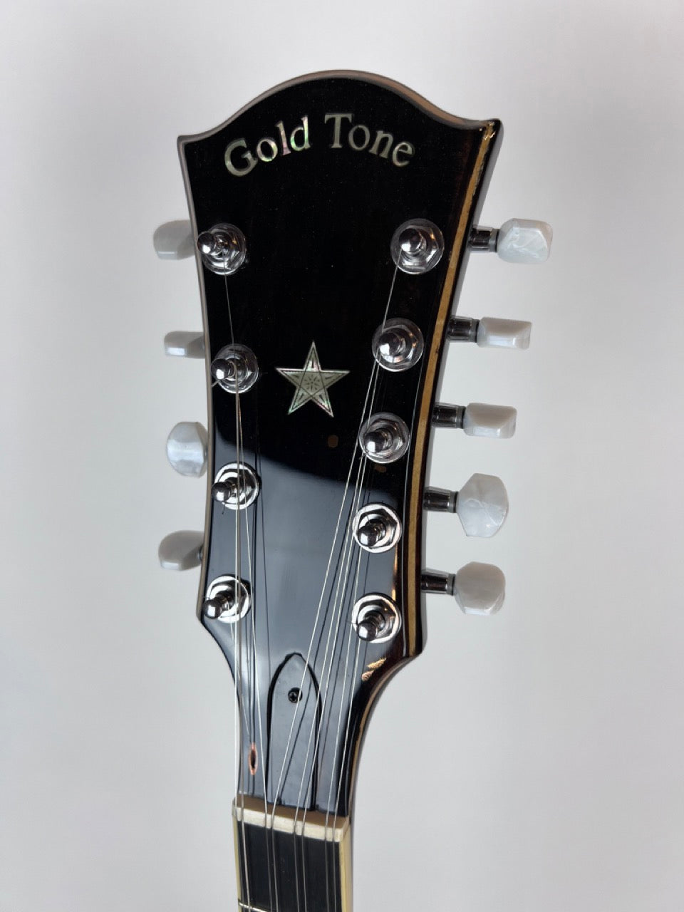 USED Gold Tone OT-10 (10-string) w/gig bag