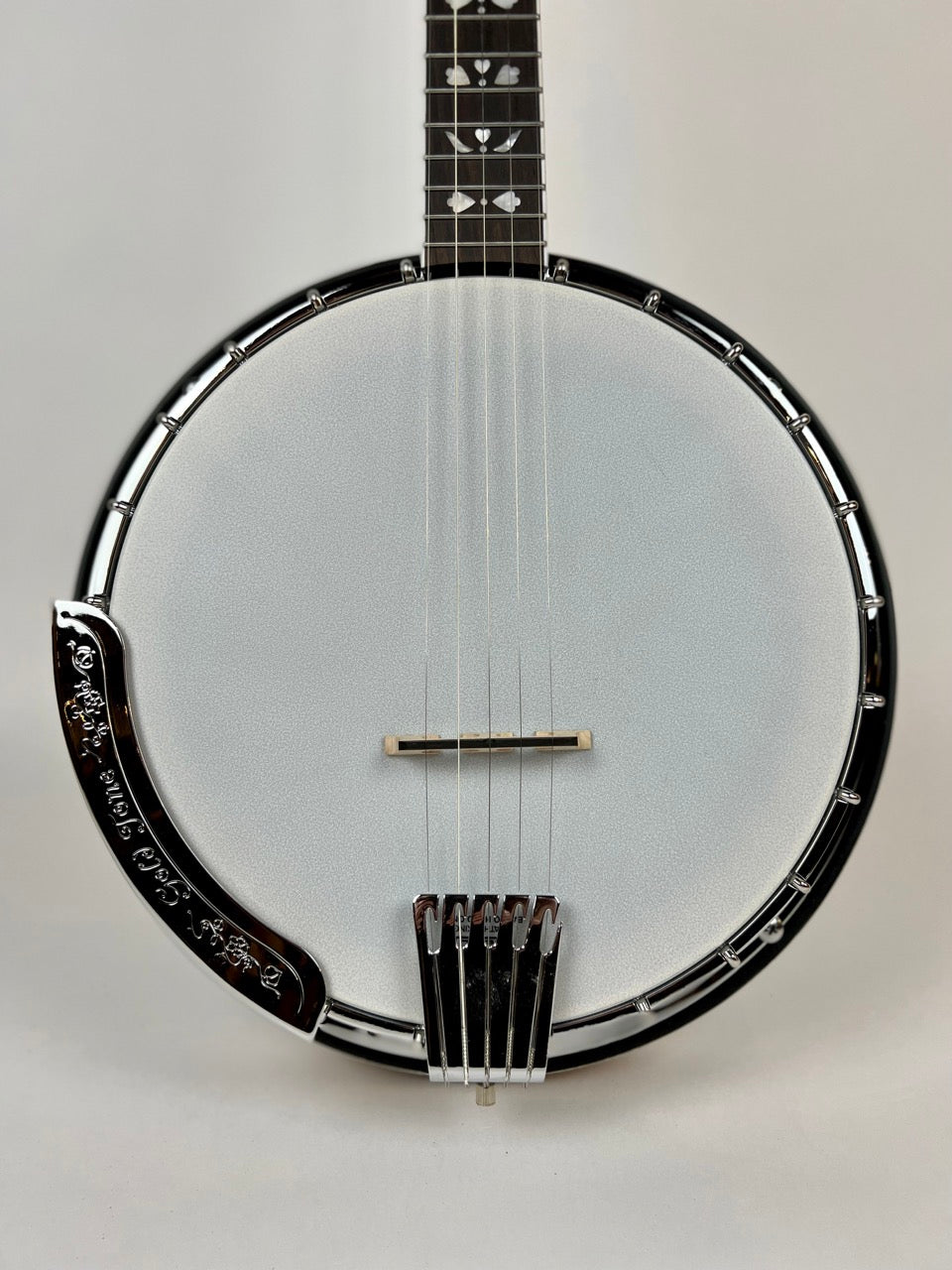 Gold Tone BG150F Resonator Banjo