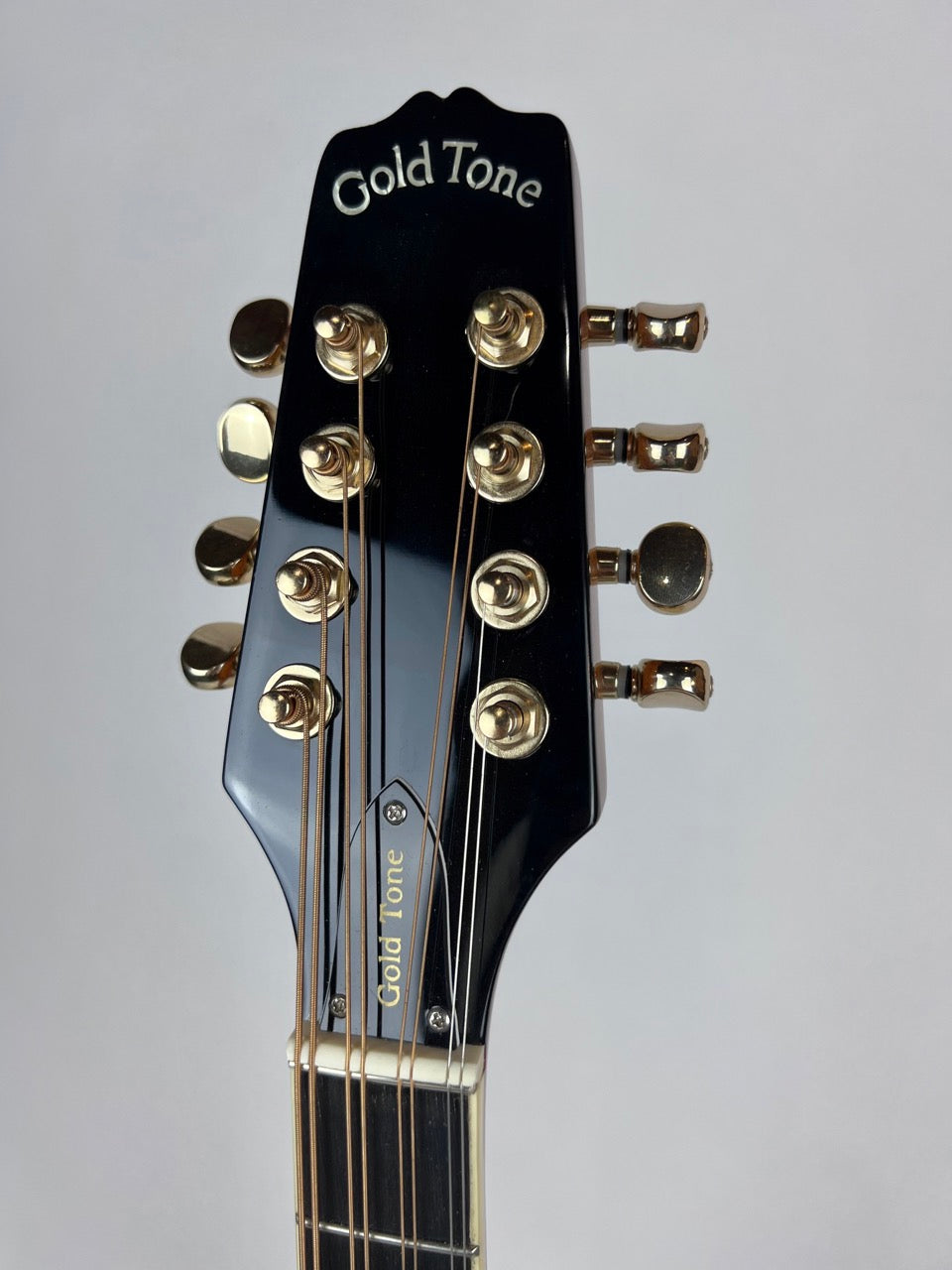 Gold Tone OM800+ Octave Mandolin