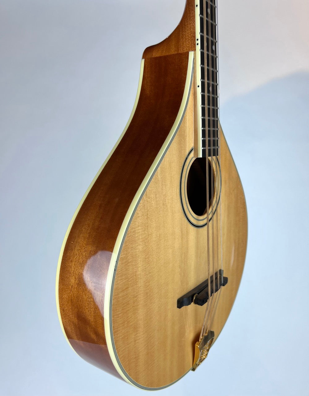 Gold Tone OM800+ Octave Mandolin