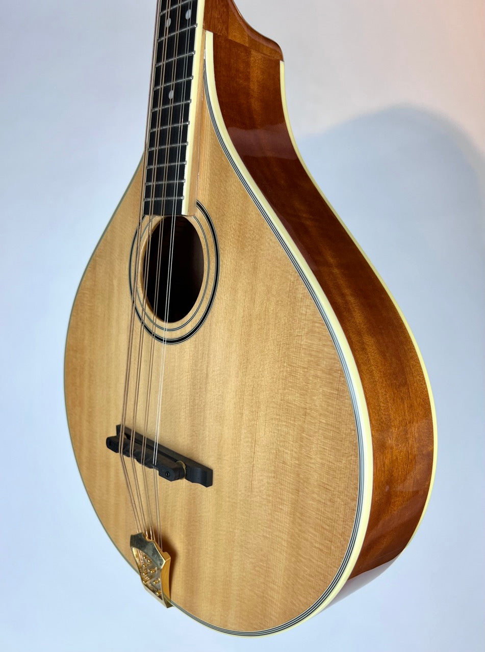 Gold Tone OM800+ Octave Mandolin