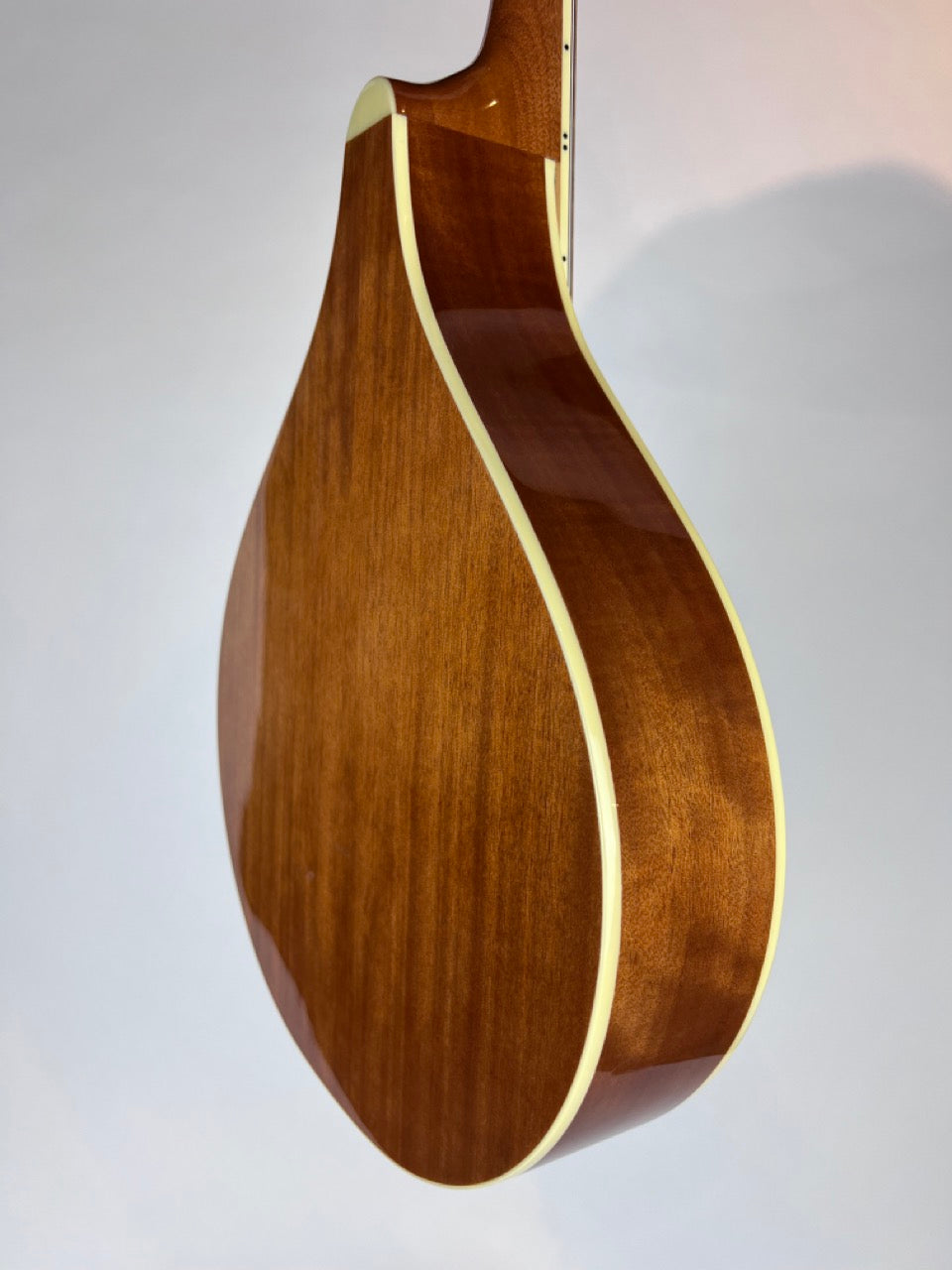Gold Tone OM800+ Octave Mandolin Gloss Natural w/ Case – Morrell Music  Company