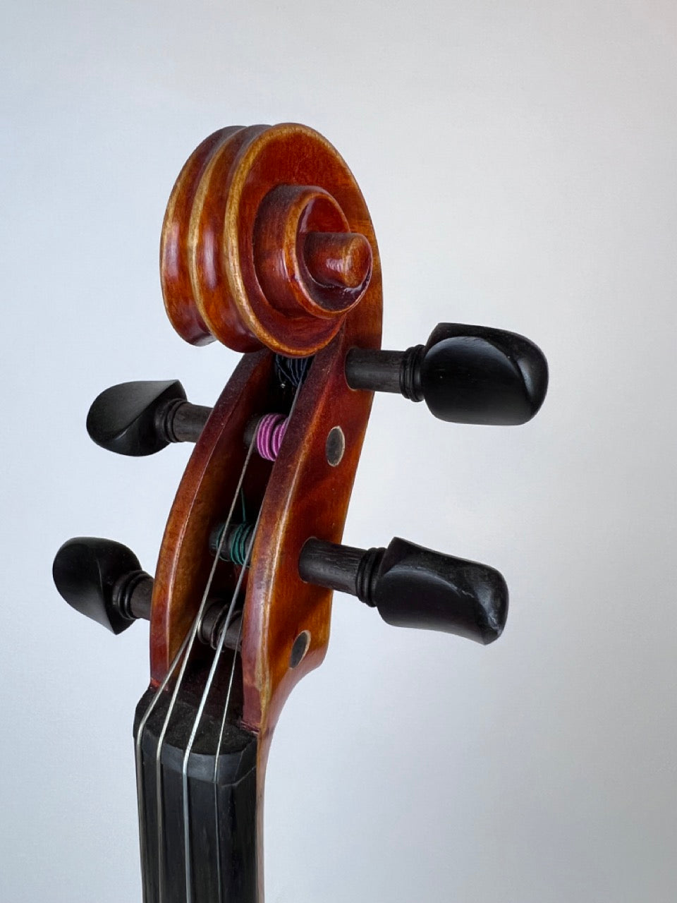 Guadagnini Model Violin