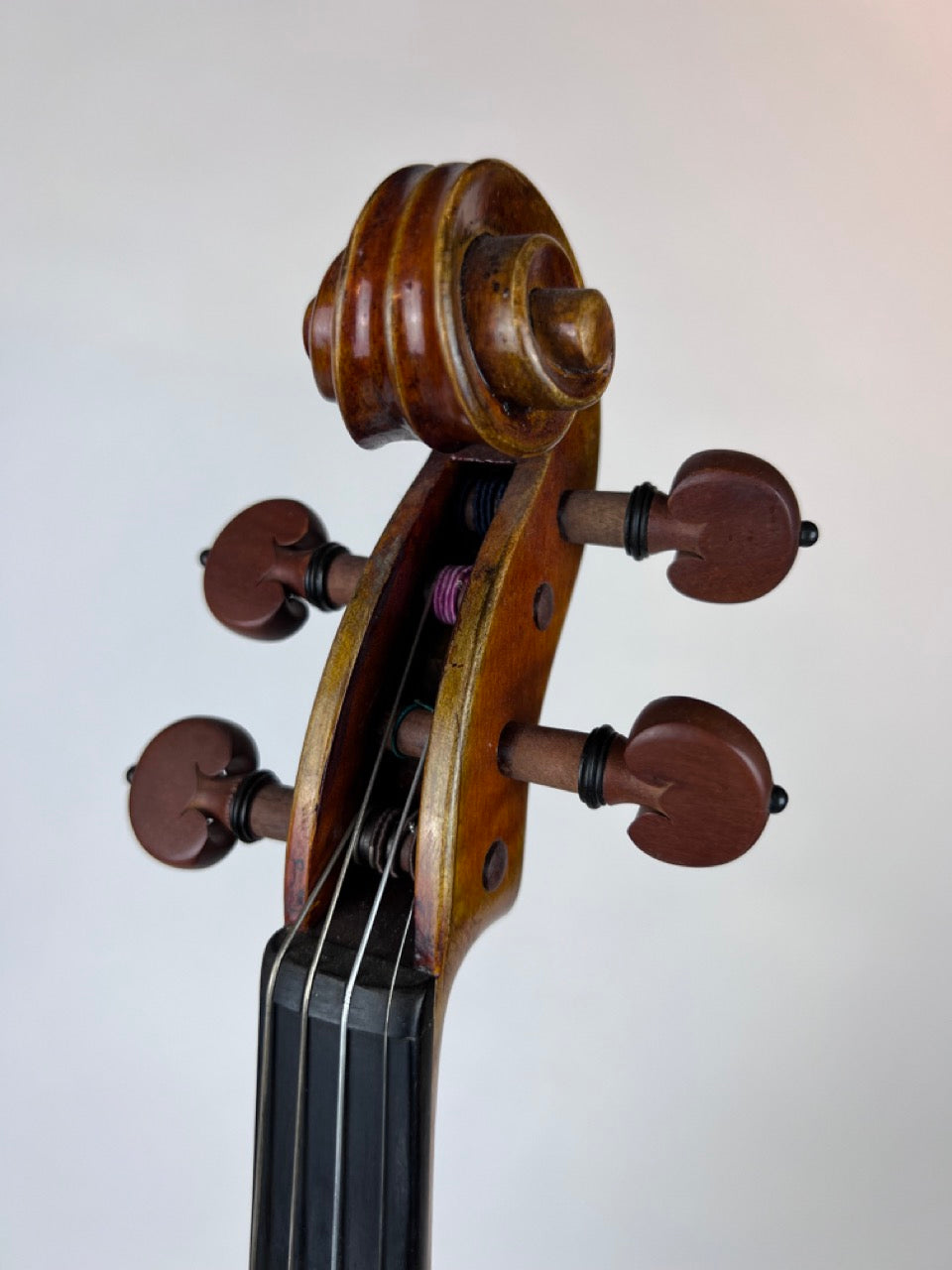 Josephus Bosio Guarneri Violin