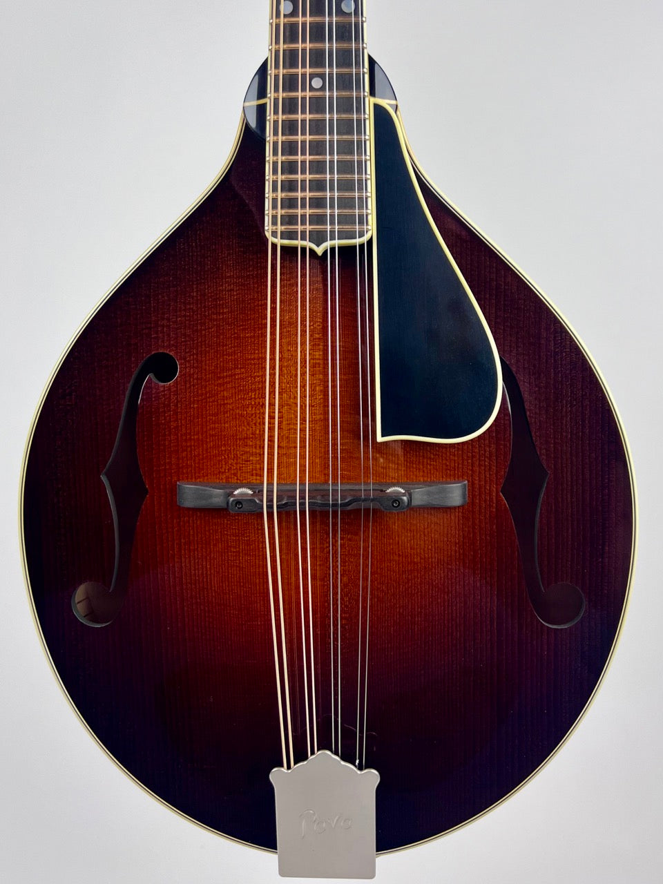 Pava Mandolin Pro A5 Wide Nut