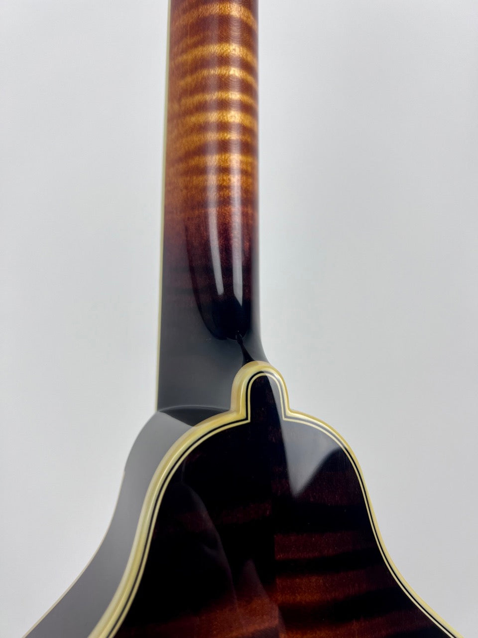 Pava Mandolin Pro A5 Wide Nut