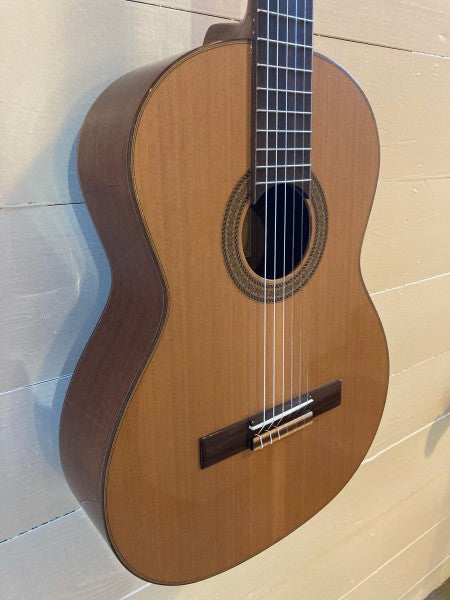 J Navarro NC-41 Guitar